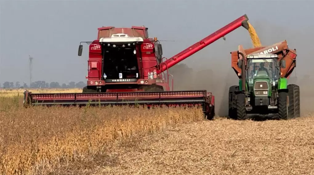 La soja refleja un mejor rendimiento promedio y lograría alcanzar las 50 millones de toneladas