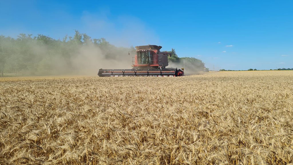 ¿Qué modifica el DNU anunciado por Milei sobre temas vinculados a la actividad agropecuaria?