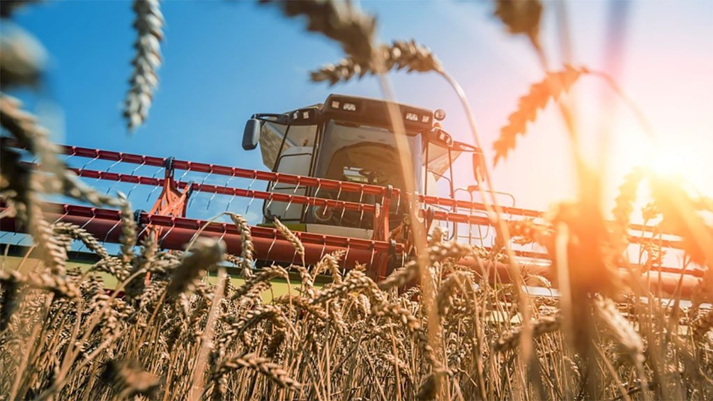 Trigo: ¿cómo es la situación de la cosecha 24/25 en Brasil y en Argentina?